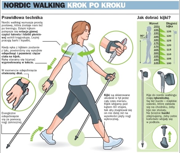 fizjoterapia częstochowa nordic walking 2 - Kijki do NW