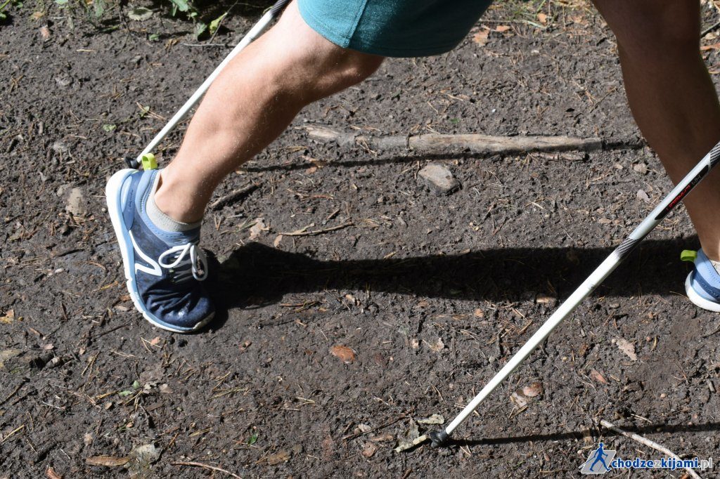 fizjoterapia częstochowa technnika nordic walking 3 - Technika marszu NW