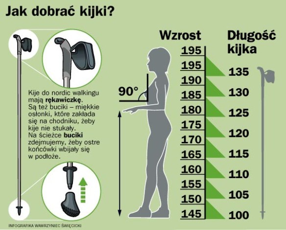 fizjoterapia częstochowa wysokość kijk&oacute;w do nordic walking - Kijki do NW