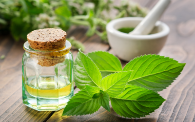 BLOG aromaterapia5 400x250 - BLOG