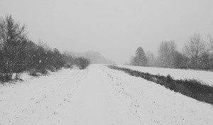 Śnieżne bieganie :)