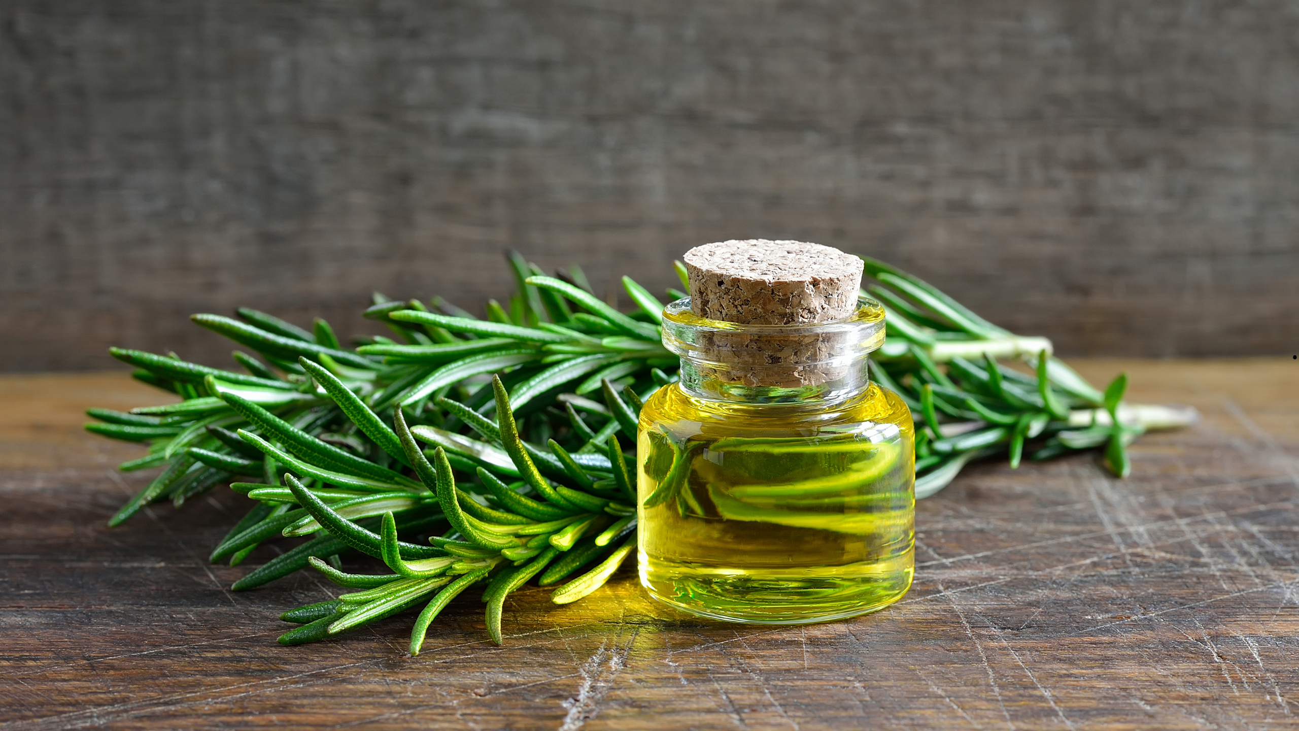 STREFA AROMATERAPII Zmien wyglad swoich wlosow dzieki olejkowi eterycznemu z rozmarynu - STREFA AROMATERAPII