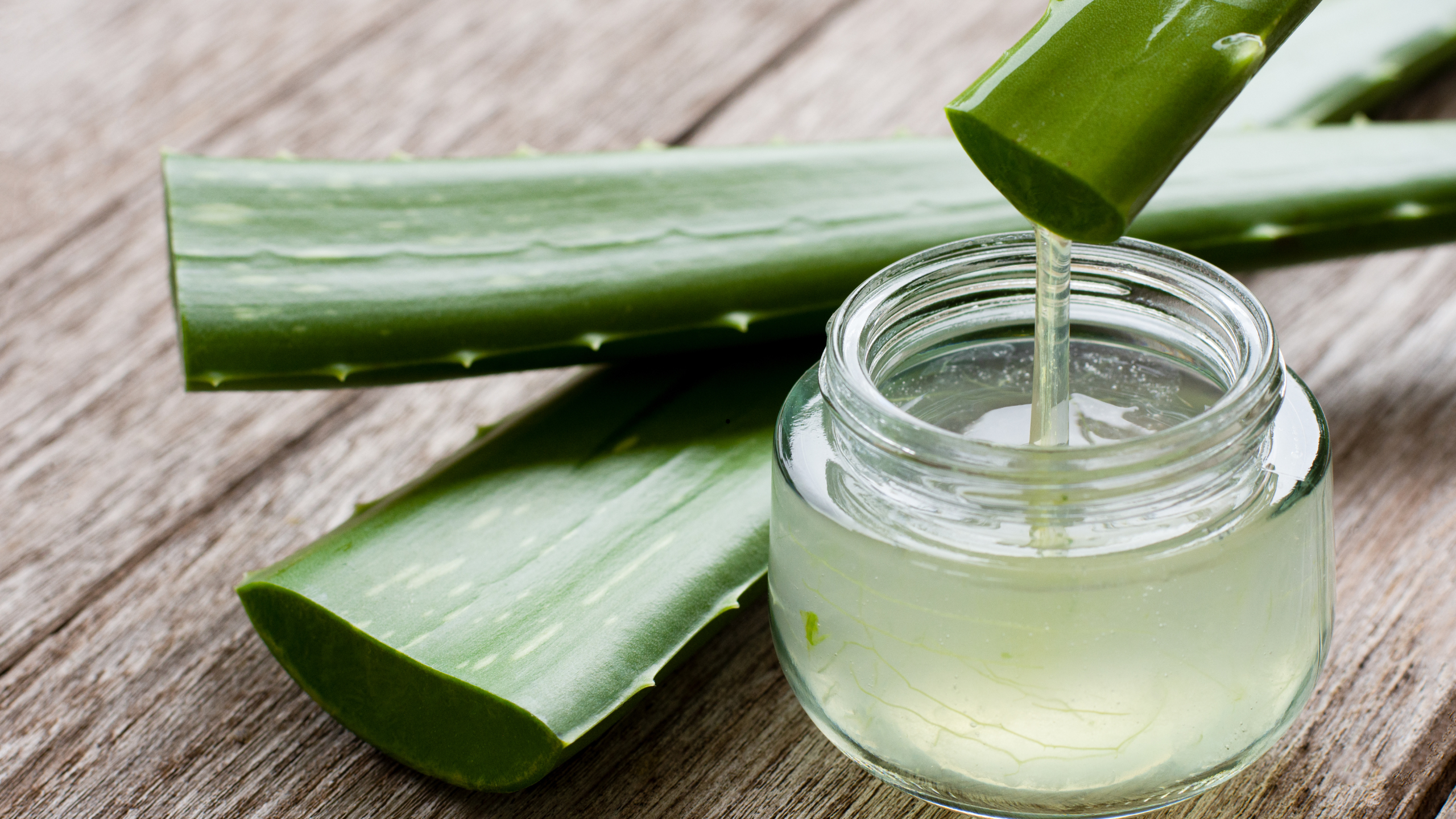 STREFA AROMATERAPII Aloes i olejki eteryczne - STREFA AROMATERAPII