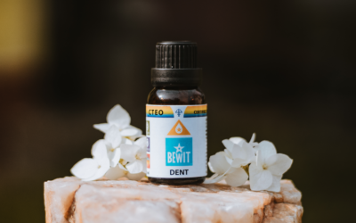 BLOG Naturalna pielegnacja jamy ustnej dzieki mocy olejkow eterycznych BEWIT DENT 400x250 - BLOG