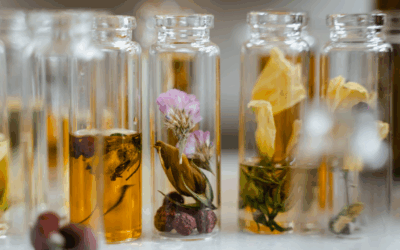 BLOG Zalety perfum botanicznych 400x250 - BLOG